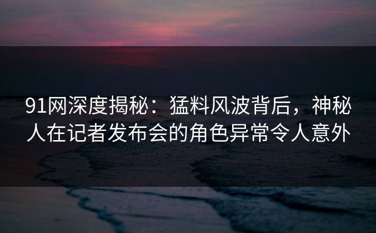 91网深度揭秘：猛料风波背后，神秘人在记者发布会的角色异常令人意外