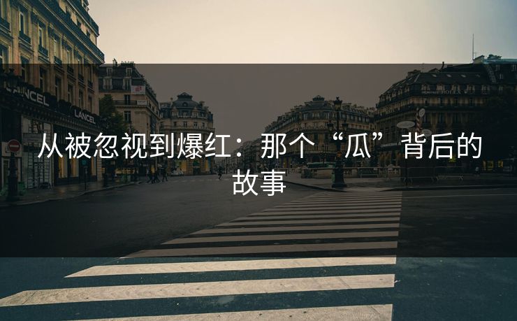 从被忽视到爆红：那个“瓜”背后的故事