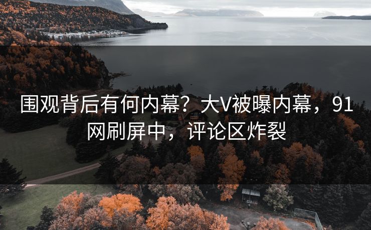 围观背后有何内幕？大V被曝内幕，91网刷屏中，评论区炸裂